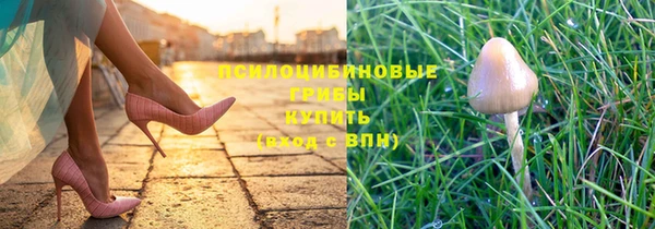 соль ск Алексин