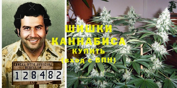 а пвп мука Алзамай