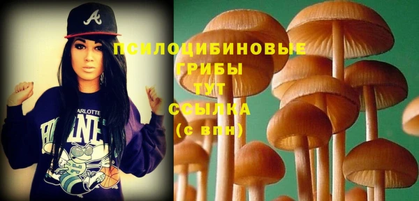 а пвп мука Алзамай