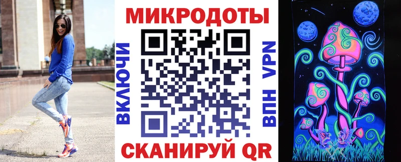 мега   Арамиль  Псилоцибиновые грибы Psilocybe 