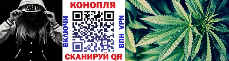 Бошки Шишки тримм  гидра как войти  Арамиль 
